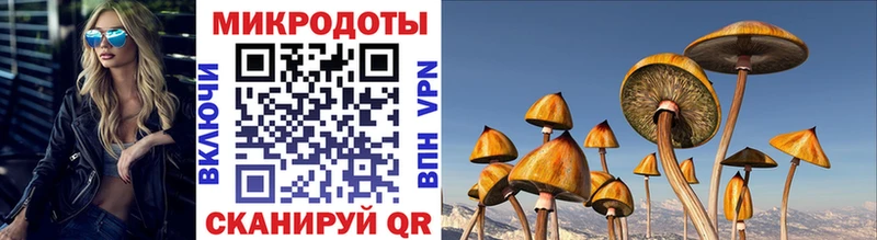 Галлюциногенные грибы Cubensis  Махачкала 