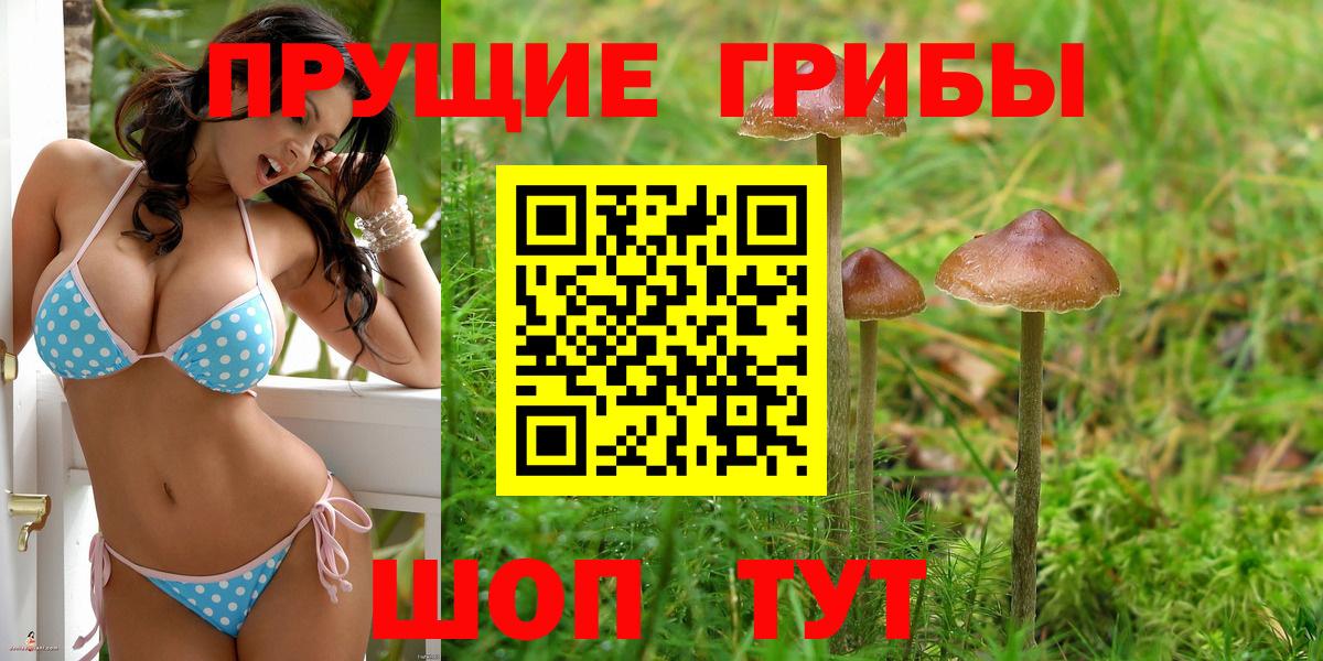 Галлюциногенные грибы ЛСД Махачкала