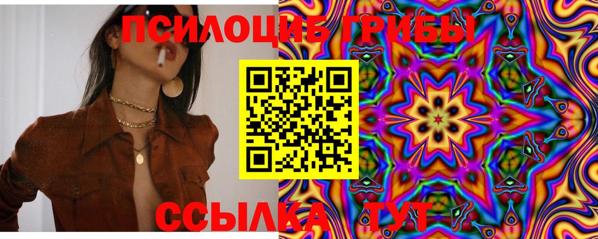 Махачкала  Галлюциногенные грибы мицелий  цены   Вход с VPN 