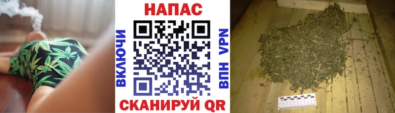 Бошки Шишки гибрид Махачкала